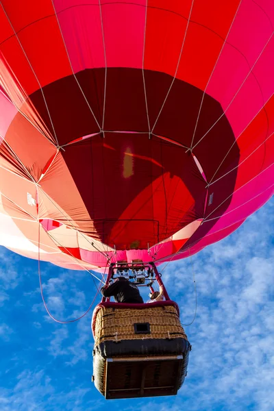 Nyári hőlégballonos fesztivál — Stock Fotó