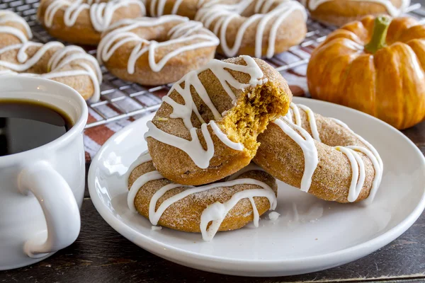 Homemade Baked Cinnamon Pumpkin Donuts — Stock Photo, Image