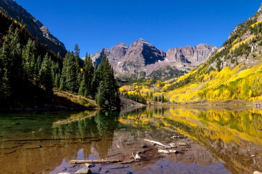 Sabah Maroon çan Aspen Co