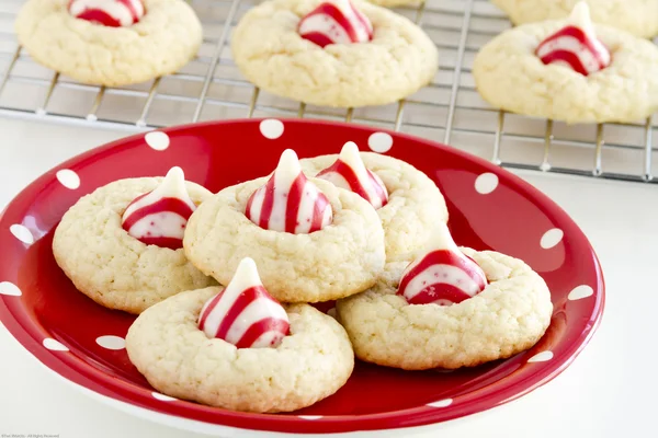 Candy Cane Kiss Cookies — Fotografie, imagine de stoc