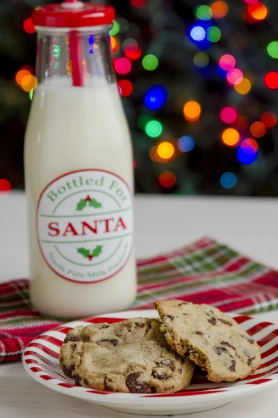 Festive Egg Nog with Cinnamon and Cookies — Stock Photo, Image