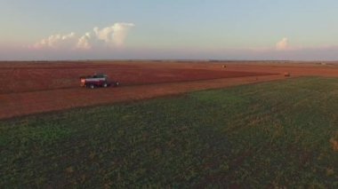 Havadan görünümü. Çiftlik makineleri buğday alan çalışma hasat