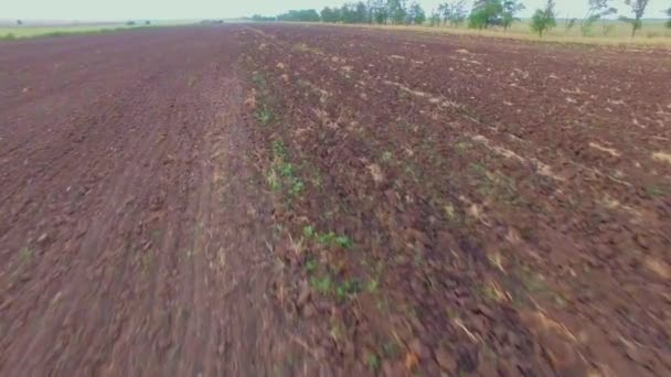VISTA AERIAL. Campo agrícola arado pronto para semeadura — Vídeo de Stock