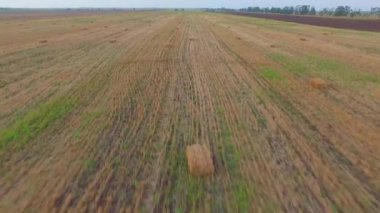 Havadan görünümü. Balya saman biçilmis sahada yalan