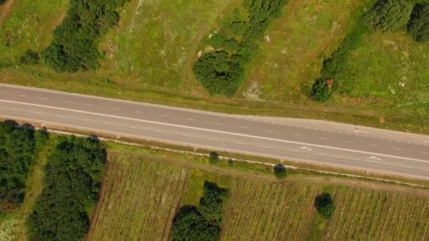 Carretera de campo vacía entre campos con vegetación — Vídeo de stock