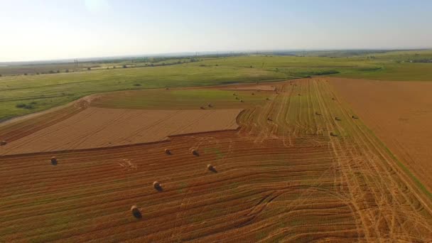 Сільський пейзаж з тюками на зібраному полі — стокове відео