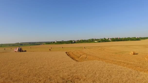 Erntemaschine bei der Arbeit auf dem Weizenfeld — Stockvideo