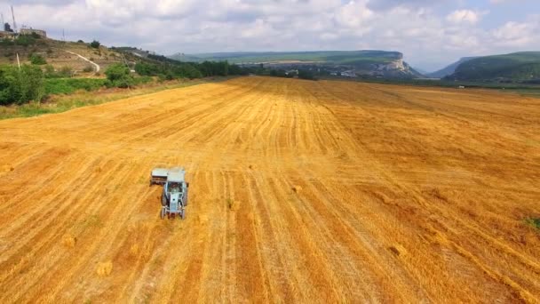 Traktor mit Anhänger fährt auf abgeerntetem Feld — Stockvideo