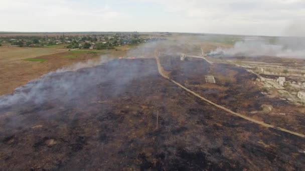 Droge veld branden in de buurt van afwikkeling — Stockvideo