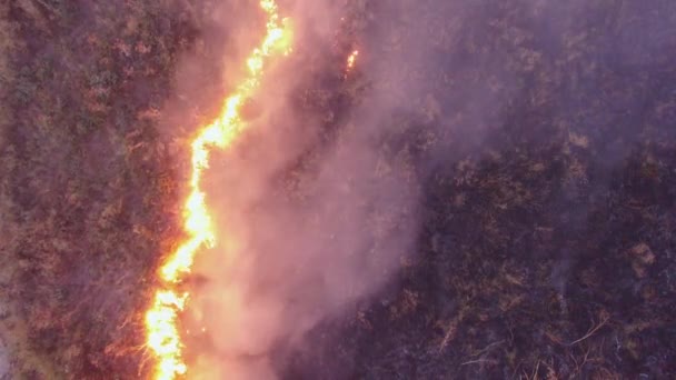 Brûler l'herbe sèche sur le terrain rural — Video