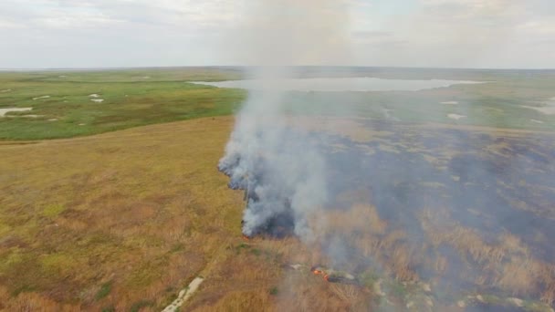 Campo rural queima perto do lago — Vídeo de Stock