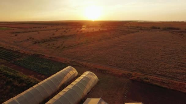 Захід сонця на сільськогосподарському полі з теплицями — стокове відео