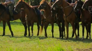 Sırada bekleyen biniciler ile kahverengi at nalı