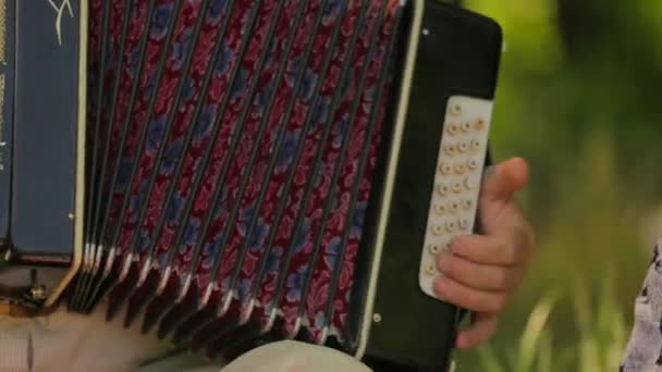 Man Playing The Accordion Outdoors — Stock Video