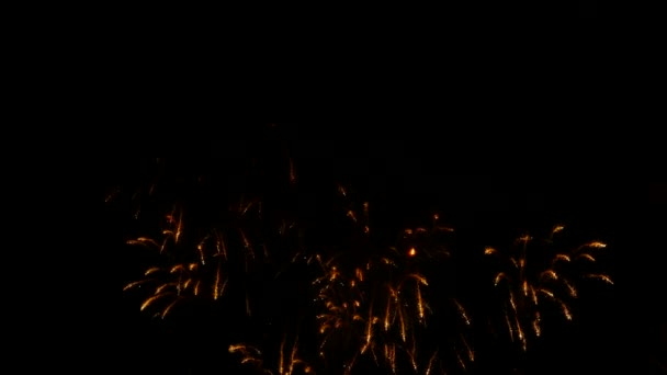 Fuegos artificiales de lluvia dorada brillando en el cielo negro — Vídeo de stock