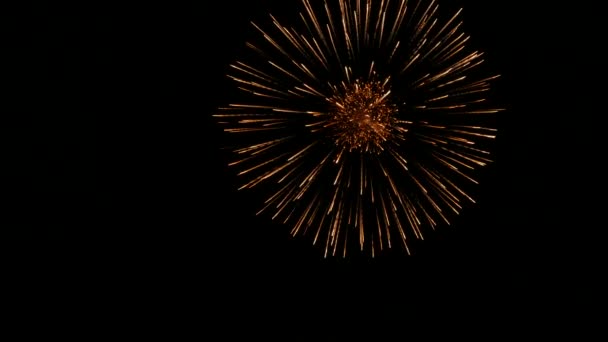 Zlaté koule oranžové ohňostroje izolovaných na tmavém pozadí — Stock video