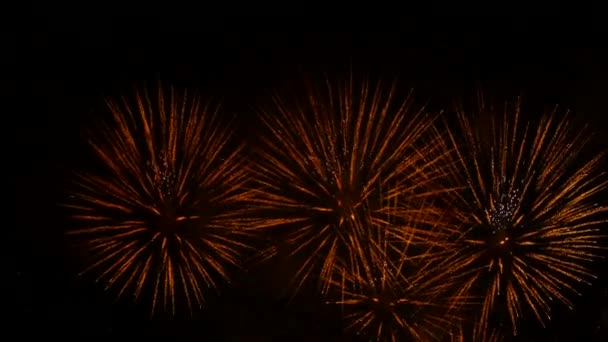 Espetáculo de exibição de fogos de artifício fantástico no céu noturno — Vídeo de Stock