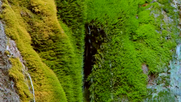 Cascada escénica fluyendo en rocas musgosas — Vídeos de Stock