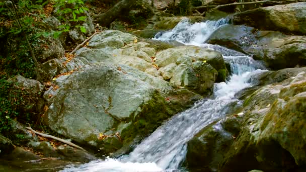 Rio de montanha rápido que flui entre pedras — Vídeo de Stock