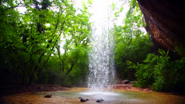 Kleiner Wasserfall fällt in wilden Wald — Stockvideo