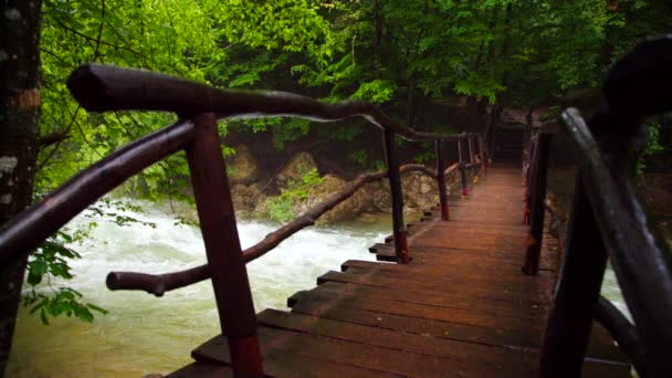 Paseo turístico por el puente de madera sobre el río — Vídeo de stock