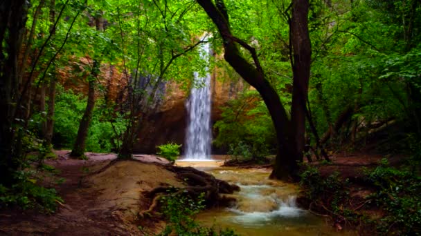 Маленький водопад, падающий в зеленом лесу — стоковое видео