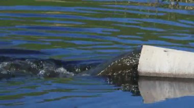 Göle borudan çıkış