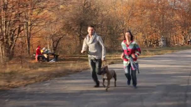 Casal feliz com cão correndo no parque de outono — Vídeo de Stock