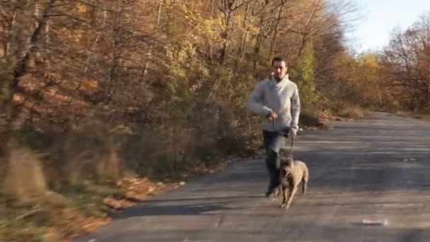 Man met hond joggen In herfst Park — Stockvideo