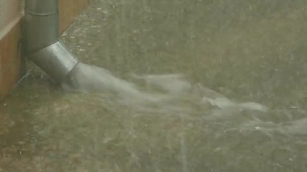 Downspout 밖으로 쏟아 지는 빗 물 — 비디오