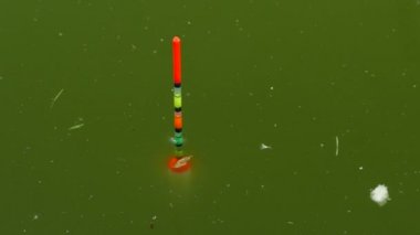 Parlak Float su üzerinde hareket