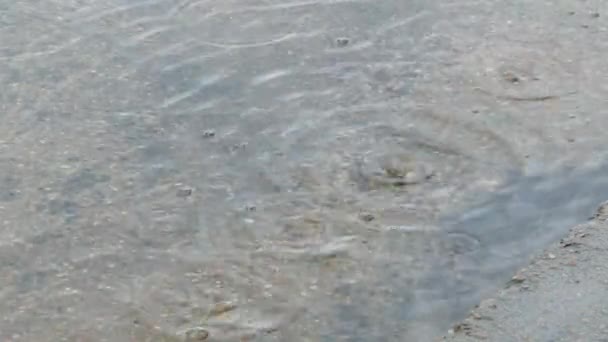 Gouttes de pluie tombant sur le sol — Video