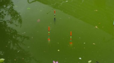 Yeşil Göl'hareketli üç Bobbers