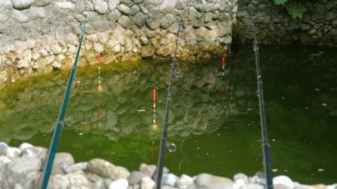 Yeşil havuzda üç çubuklar