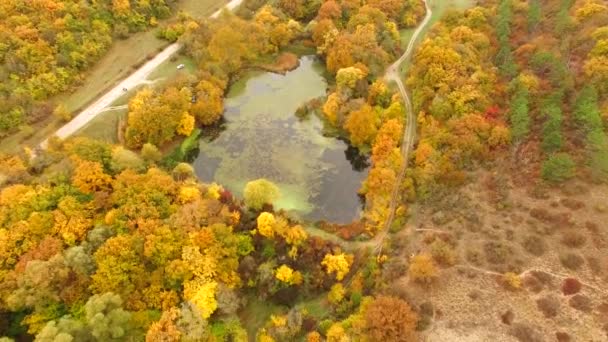 Flygfoto. Flygning över natursköna terrängen på hösten tid — Stockvideo