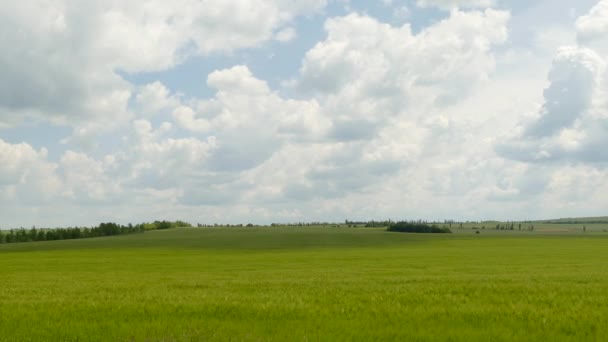 Campo rurale verde Sotto paesaggio nuvoloso — Video Stock