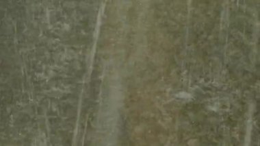 Şiddetli su dökülen yere