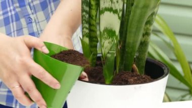 Bahçıvan çiçek dikim