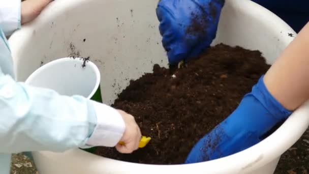 Familjen trädgårdsskötsel tillsammans — Stockvideo