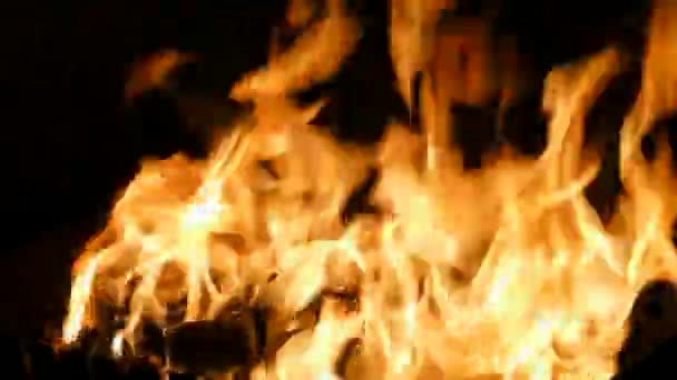 Fire Flame In Fireplace On Black Background — Stock Video