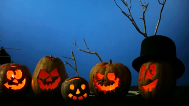 Black cat is passing by Halloween pumpkins — Stock video