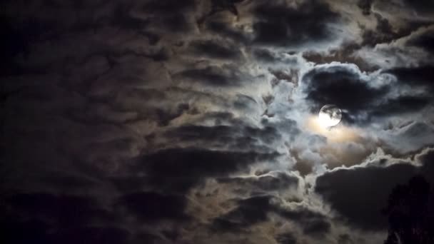 Luna llena detrás de las nubes — Vídeos de Stock