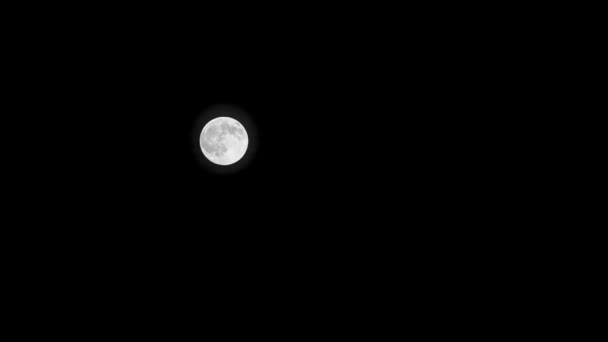 Super Lune dans le ciel — Video