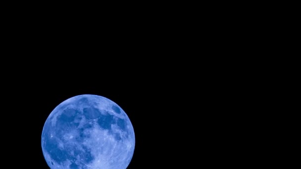 Super Moon in the sky — Stock video