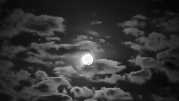 Vollmond hinter Wolken — Stockvideo