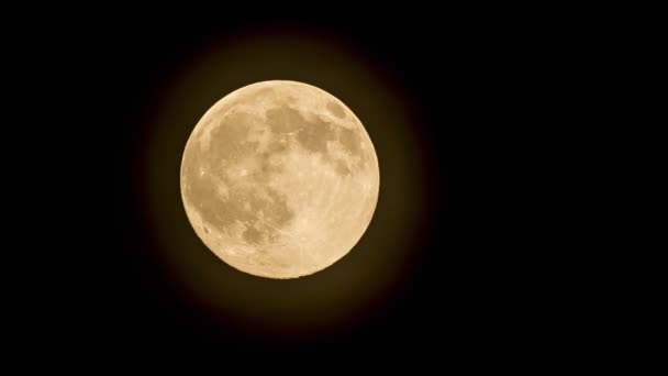 Super Luna en el cielo — Vídeo de stock