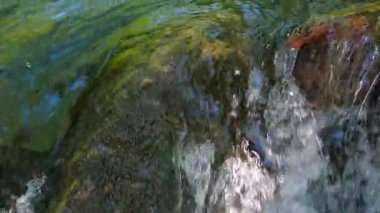 Stream Water Rapidly Falling off Rock. Close-up shot with sound.