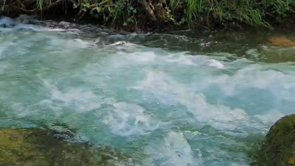 Fließendes Wasser des Flusses. Klang. — Stockvideo