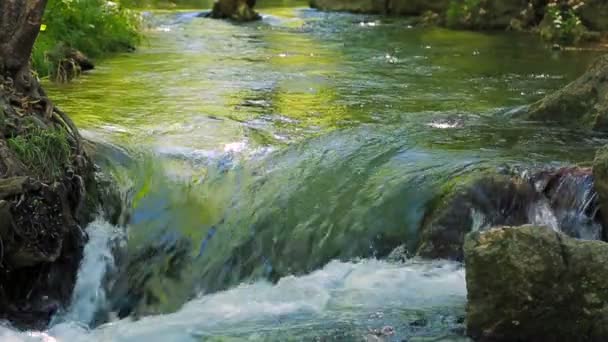 River Water Falling. Audio. — Wideo stockowe