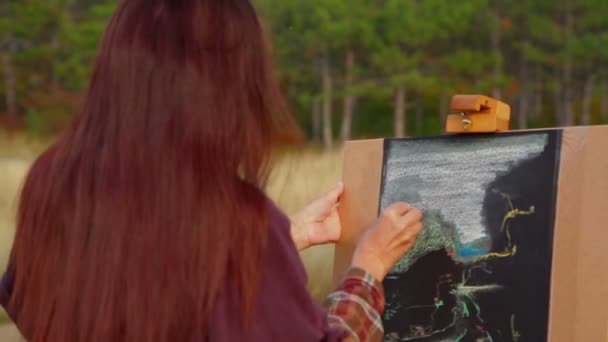 Mujer con el pelo castaño largo dibujando una imagen en Plein Air — Vídeos de Stock